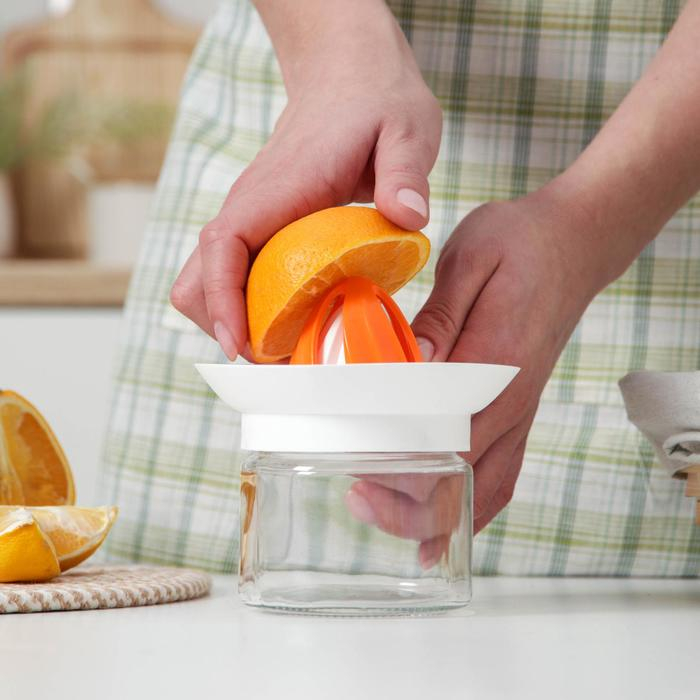 Соковыжималка &laquo;Цитрус&raquo;, 300 мл, цвет МИКС