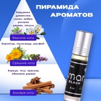 Духи масляные мужские Smart Black, 6 мл Духи масляные мужские Smart Black, 6 мл