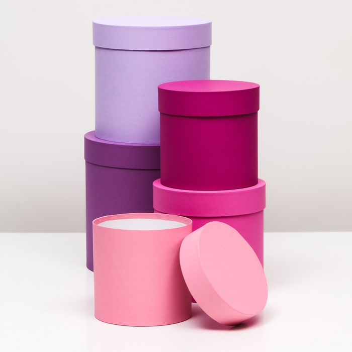 Набор шляпных коробок 5 в 1, сиреневый, 23 х 23-15 х 15 см Набор шляпных коробок 5 в 1, сиреневый, 23 х 23-15 х 15 см