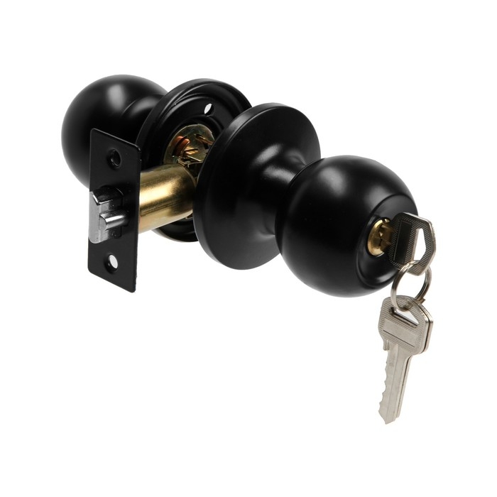 Защелка 1303, с ключом, цвет матовый черный Защелка 1303, с ключом, цвет матовый черный