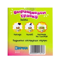 Набор для опытов «Выращиваем травку», зайка Набор для опытов «Выращиваем травку», зайка