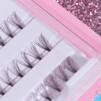 Ресницы для наращивания, пучки, 10 мм, 60 пучков, цвет чёрный Ресницы для наращивания, пучки, 10 мм, 60 пучков, цвет чёрный