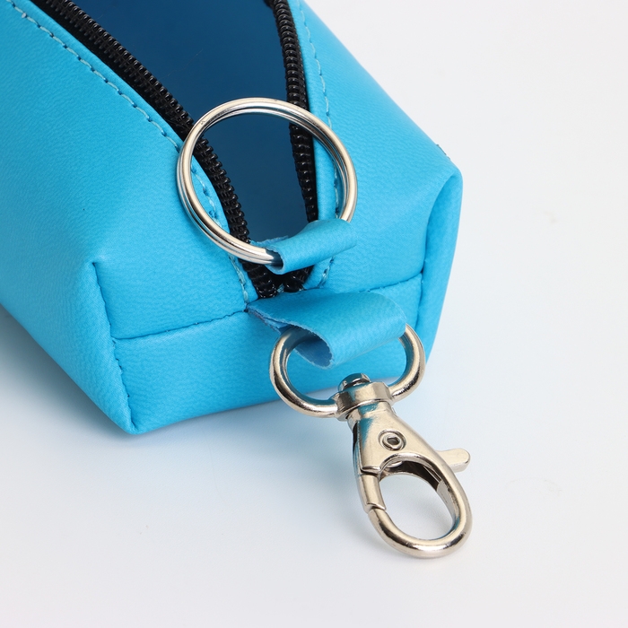 Ключница на молнии, длина 16 см, кольцо, карабин, цвет голубой