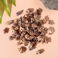 Ракушки природные декоративные "Зебра" набор 100 гр