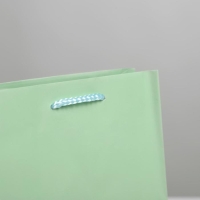 Пакет подарочный ламинированный, упаковка, &laquo;Зелёный&raquo;, MS 18 х 23 х 8 см