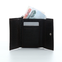 Кошелёк женский на молнии, TEXTURA, цвет коричневый Кошелёк женский на молнии, TEXTURA, цвет коричневый