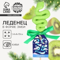 Новый год! Леденец в форме змеи, со вкусом киви &laquo;2025&raquo;, 18 г