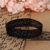 Кружево капроновое, 15 мм &times; 10 &plusmn; 1 м, цвет чёрный