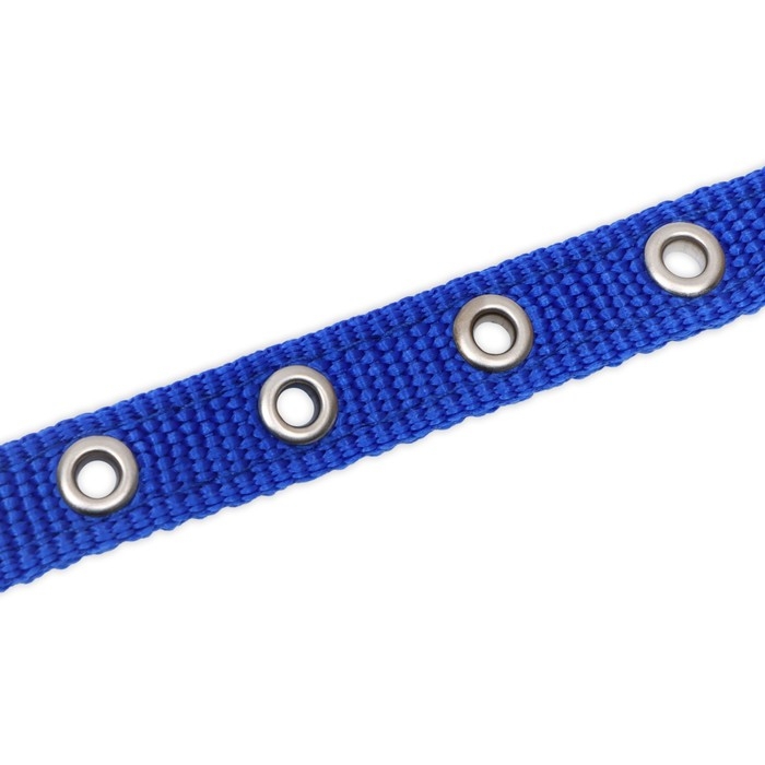 Ошейник Ошейник "Комфорт" комбинированный (полиэстер, искусственная кожа), 39 х 1,5 см, ОШ 26-33 см, синий 6