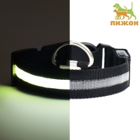 Ошейник с подсветкой, зарядка от USB, размер S, ОШ 34-41 см, 3 режима, черный Ошейник с подсветкой, зарядка от USB, размер S, ОШ 34-41 см, 3 режима, черный