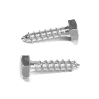 Шуруп-болт ТУНДРА, сантехнический, оцинкованный, DIN 571, М10х40 мм, 4,8 - 5 кг Шуруп-болт ТУНДРА, сантехнический, оцинкованный, DIN 571, М10х40 мм, 4,8 - 5 кг