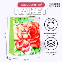 Пакет ламинированный &laquo;Цветок&raquo;, MS 18 &times; 23 &times; 10 см