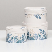 Набор шляпных коробок 3 в 1 "Цветочные узоры", завальцованная, 16 х 10, 14 х 9, 13 х 8,5 см Набор шляпных коробок 3 в 1 "Цветочные узоры", завальцованная, 16 х 10, 14 х 9, 13 х 8,5 см