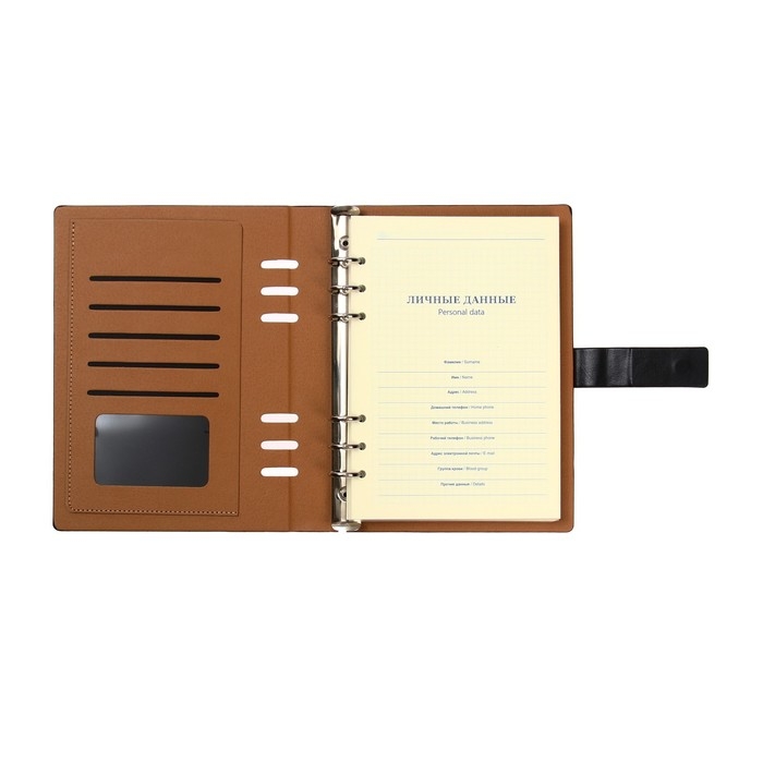 Органайзер на кольцах, обложка ПВХ, А5, 140 листов в клетку, с хлястиком, МИКС