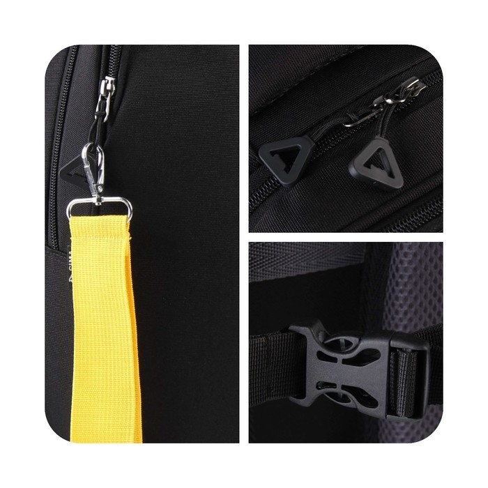 Рюкзак школьный, эргономичная спинка  &laquo;1 сентября: SVOBODA&raquo; 39x32x14 см