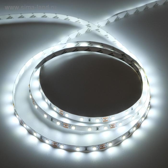 Светодиодная лента Ecola PRO 5 м, IP20, SMD2835, 60 LED/м, 8 Вт/м, 12 В, 6000К Светодиодная лента Ecola PRO 5 м, IP20, SMD2835, 60 LED/м, 8 Вт/м, 12 В, 6000К