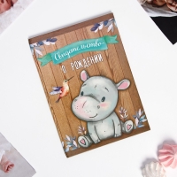 Папка для свидетельства о рождении «Бегемотик», А5 Папка для свидетельства о рождении «Бегемотик», А5