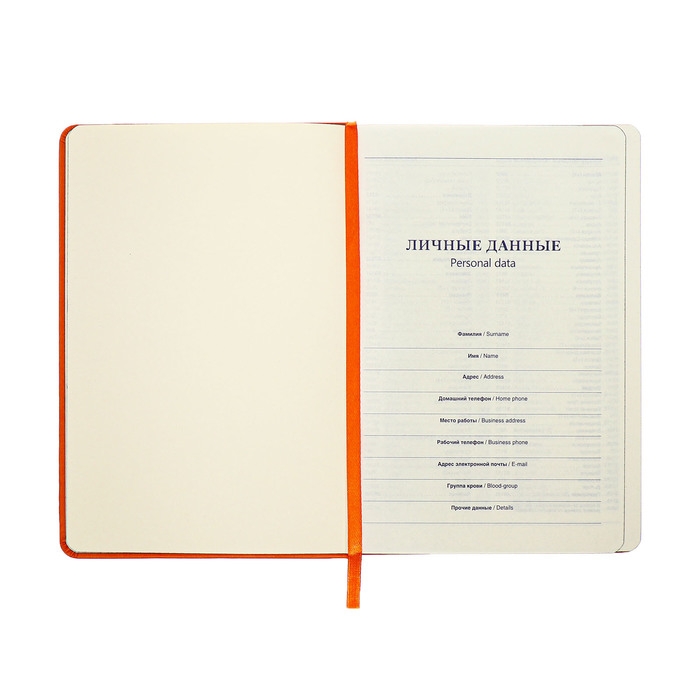 Ежедневник недатированный A5, 140л, клетка, кожзам, на резинке, черный срез, Оранжевый