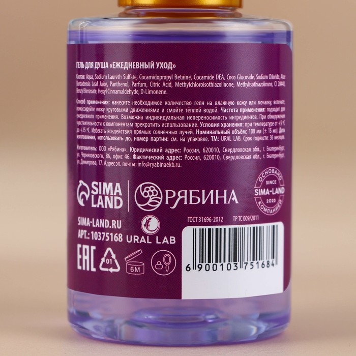 Гель для душа, 100 мл, аромат черничного пирога, Новый Год