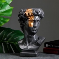 Кашпо - органайзер "Бюст Давида" большой, серый, бронза, 28см