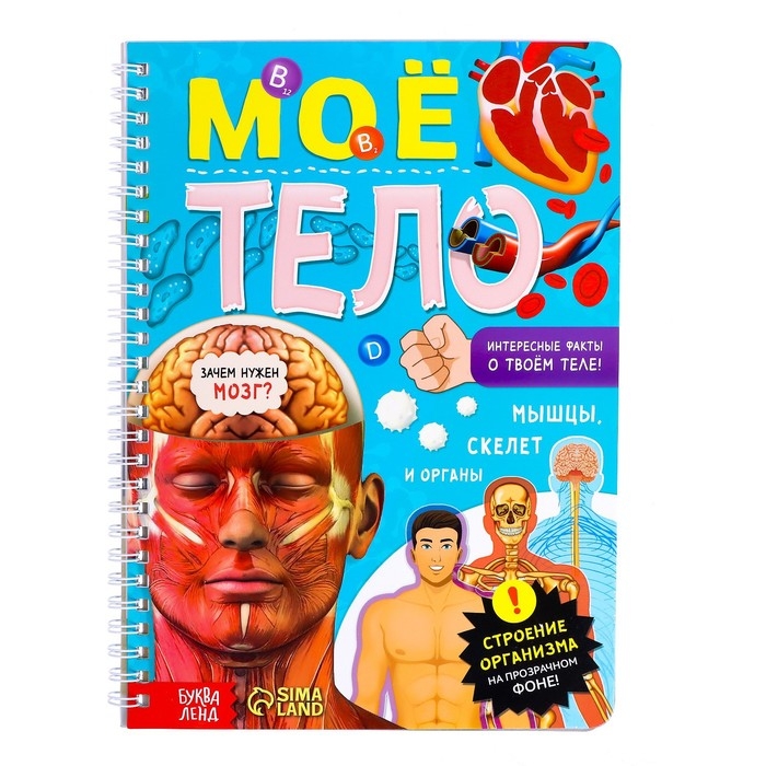 Книга с прозрачными страницами &laquo;Моё тело&raquo;, 32 стр.