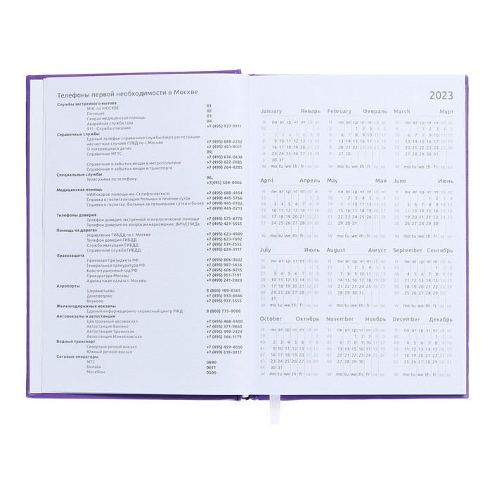 Ежедневник датированный 2024 года, А5, 176 листов, Attomex.Even, обложка бумвинил, ляссе, блок 70 г/м2, сиреневый