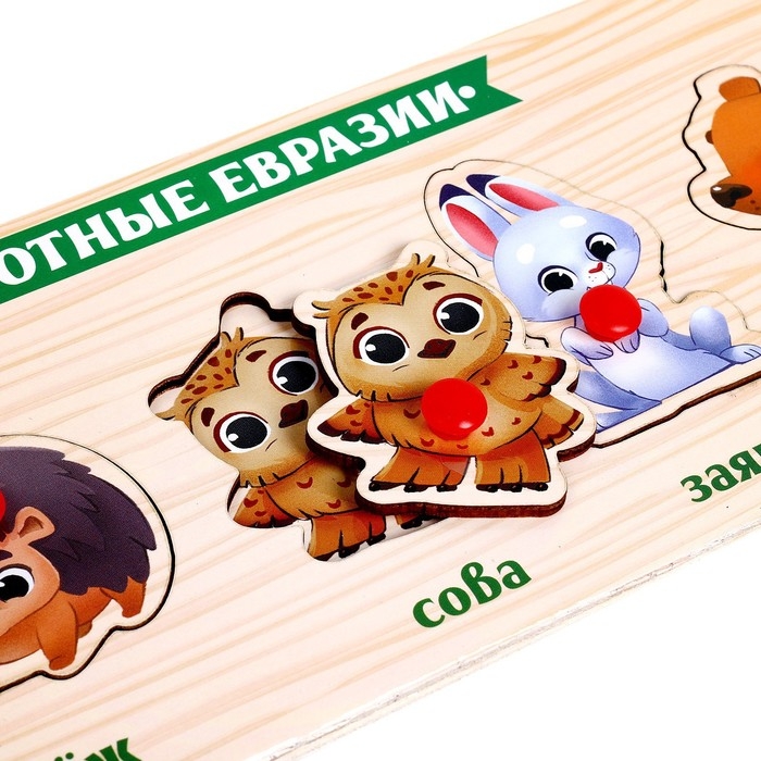 Рамка - вкладыш &laquo;Животные Евразии&raquo;