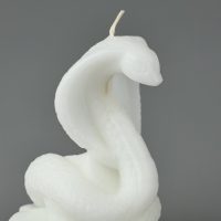 Новый год 2025! Свеча интерьерная «Новогодняя коллекция: Змея на монетках», белая, 78 х 61 х 52 Новый год 2025! Свеча интерьерная «Новогодняя коллекция: Змея на монетках», белая, 78 х 61 х 52