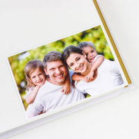 Фотоальбом 50 магнитных листов (100стр) "Веточка" 23х28 см