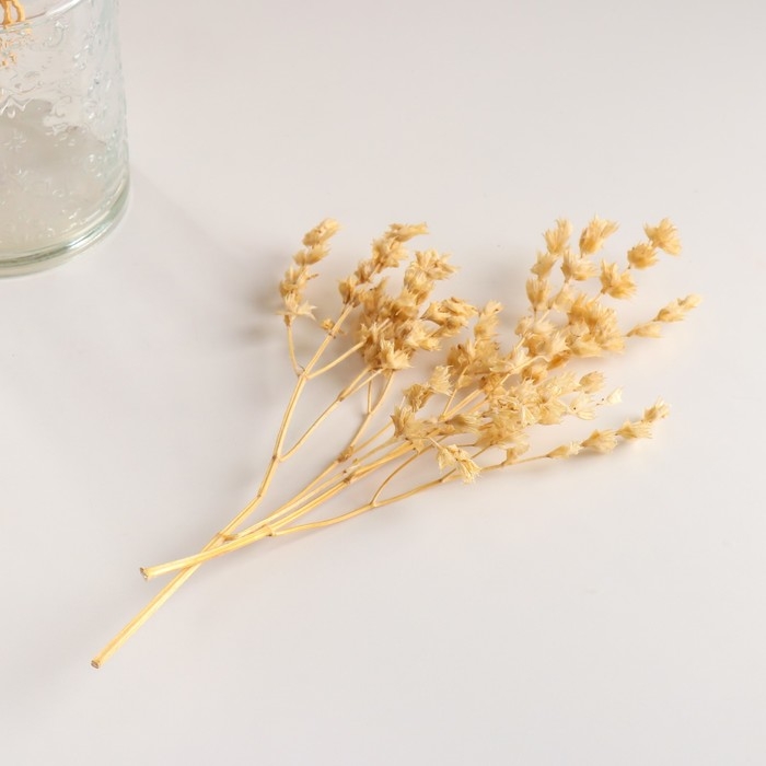 Набор сухоцветов Набор сухоцветов "Шандра", банч длина 40 (+/- 6 см), выбеленный