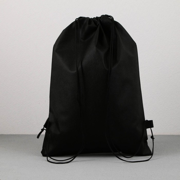 Мешок для обуви &laquo;Динозавр&raquo; нетканное полотно, размер 30 х 40 см