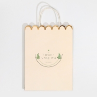 Пакет подарочный крафтовый, упаковка, &laquo;Nice day&raquo;, 23 х 30 х 12 см