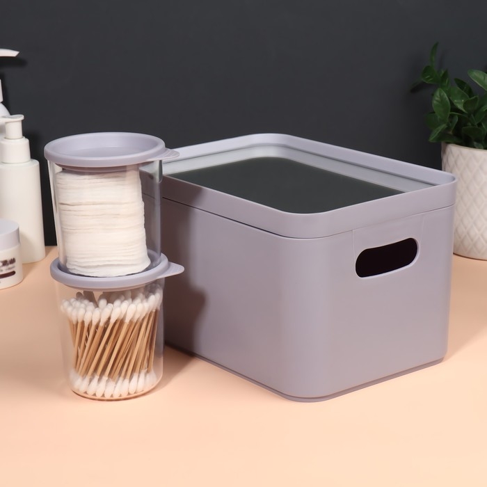 Набор органайзеров для хранения косметических принадлежностей &laquo;Eva&raquo;, 22,8 &times; 15,9 &times; 13,8 см, с зеркалом, цвет сиреневый