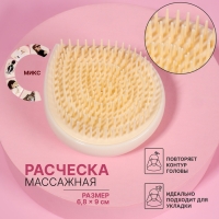 Расчёска массажная, 6,8 × 9 см, PVC коробка, рисунок МИКС Расчёска массажная, 6,8 × 9 см, PVC коробка, рисунок МИКС