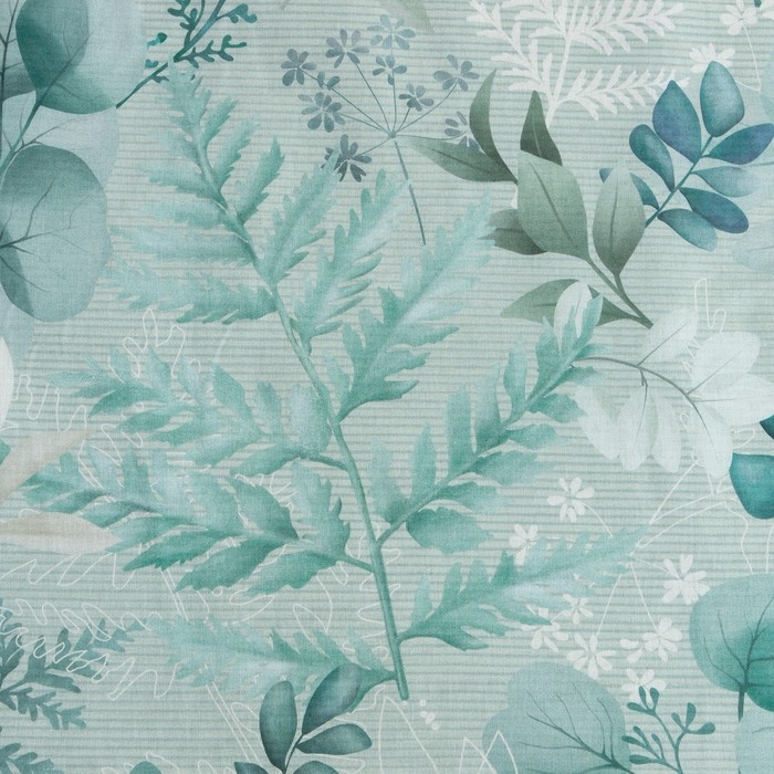 Постельное бельё Этель Евро &laquo;Эвкалипт&raquo; 200х217 см, 220х240 см, 50х70 см -2 шт, поплин