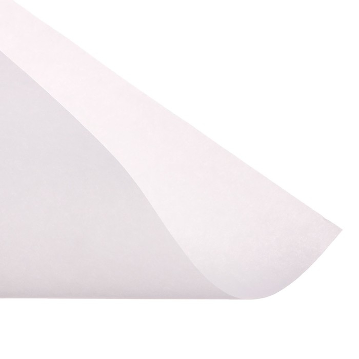 Калька для чертёжных и дизайнерских работ А4, 20 листов в папке Calligrata, 40 г/м2 Калька для чертёжных и дизайнерских работ А4, 20 листов в папке Calligrata, 40 г/м2