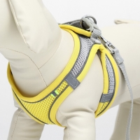 Комплект с мягкой шлейкой, быстросъемный, S, поводок 150 х 1,5 см, ОШ 33-36 см, ОГ 35-40 см, жёлтый