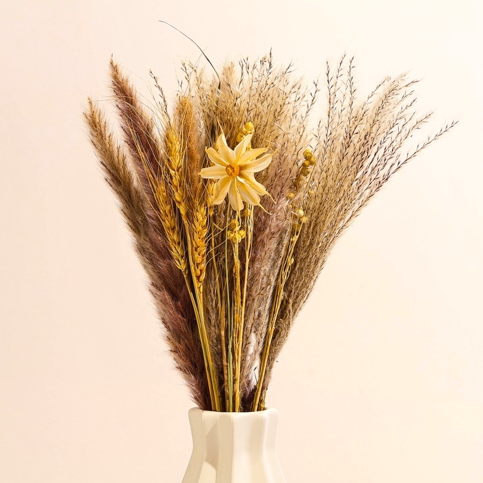 Сухоцветы &laquo;Нежность&raquo;, набор из 4 видов, 48 &times; 16 &times; 6 см