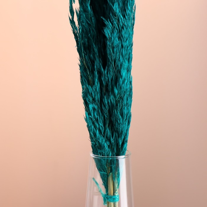 Набор сухоцветов "Камыш", банч длина 65 (+/- 6 см), изумрудный