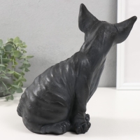 Копилка "Котенок Сфинкс" 22 х 10 х 21 см. Копилка "Котенок Сфинкс" 22 х 10 х 21 см.