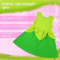 Карнавальный набор &laquo;Сказочная фея&raquo;, рост 104&ndash;110 см