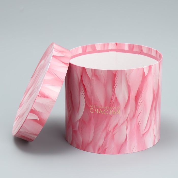 Набор шляпных коробок 5 в 1, упаковка подарочная, &laquo;Перья&raquo;, 13 х 14 ‒ 19.5 х 22 см