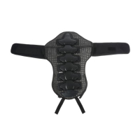 Защита тела, мотоциклетная, мужская, размер 48-50, цвет черный