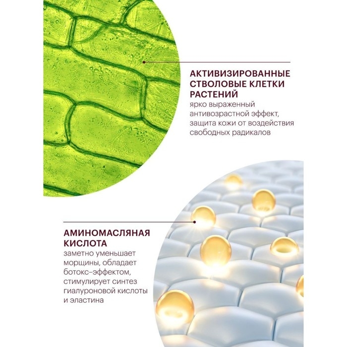Бальзам Librederm стволовые клетки растений от глубоких морщин вокруг глаз Anti-Age 20 мл Бальзам Librederm стволовые клетки растений от глубоких морщин вокруг глаз Anti-Age 20 мл