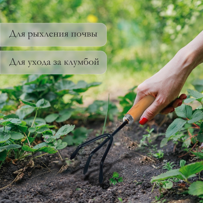 Рыхлитель, длина 25 см, деревянная ручка, Greengo Рыхлитель, длина 25 см, деревянная ручка, Greengo