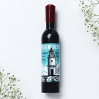 Магнит-открывашка «Владивосток», 2,5 х 11,8 х 2,5 см Магнит-открывашка «Владивосток», 2,5 х 11,8 х 2,5 см