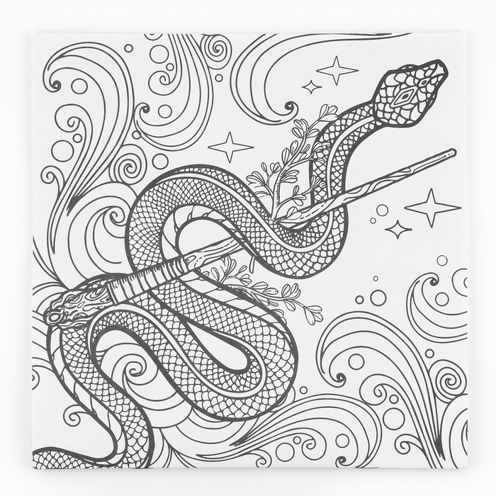 Раскраска антистресс на новый год. Альбом для вдохновения &laquo;Магия Нового года&raquo;, 19 страниц, символ года 2025