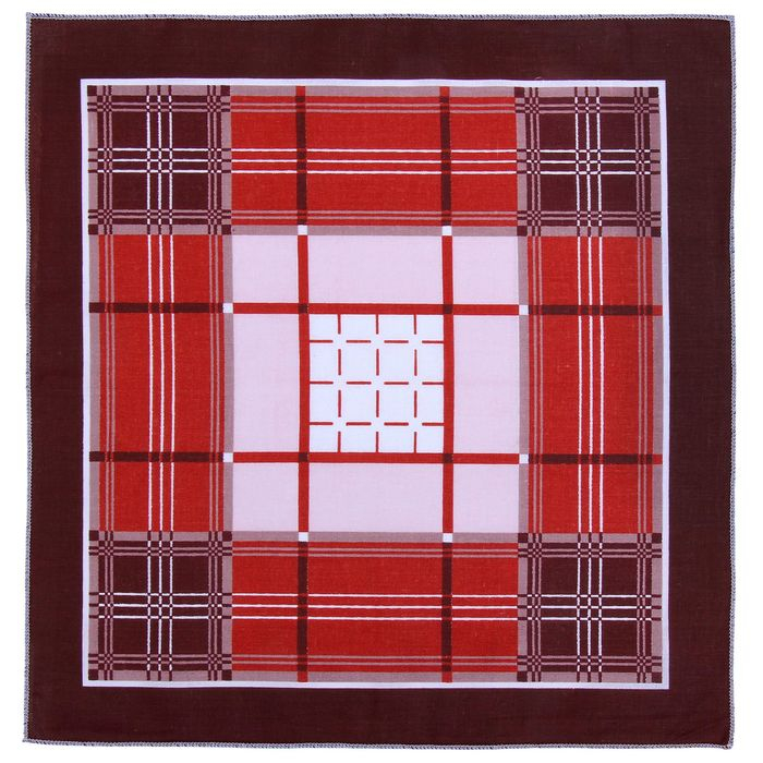 Мужские носовые платки Мужские носовые платки "Этель" размер 30х30 см, (набор 12 шт,) цвет коричневый, рисунок МИКС