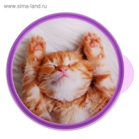 Ланч-бокс круглый FoodVibes &laquo;Котёнок&raquo;, 500 мл