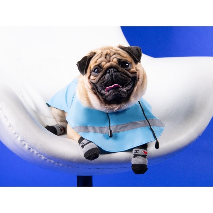 Носки нескользящие Носки нескользящие "Люблю косточки", S (2,5/3,5 * 6 см), набор 4 шт